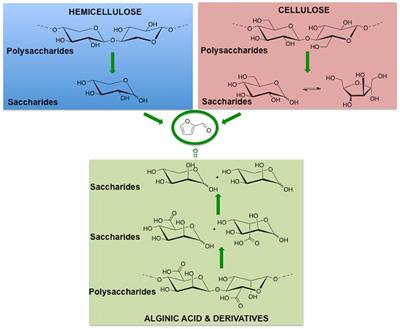 Hydrolysis of Hemicellulose and Derivatives—A Review of Recent Advances in the Production of Furfural